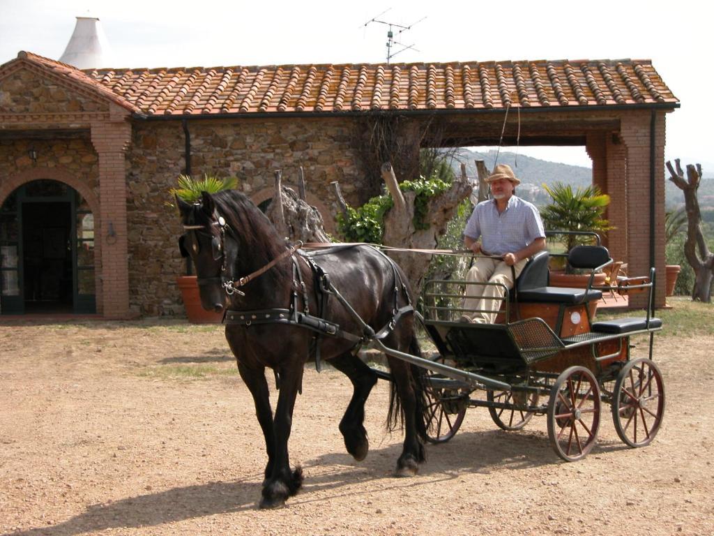 Agriturismo La Fontanella & Glamping Suvereto Exterior photo
